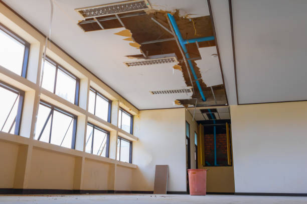 Best Water damage cleanup near me  in Smithfield, NC