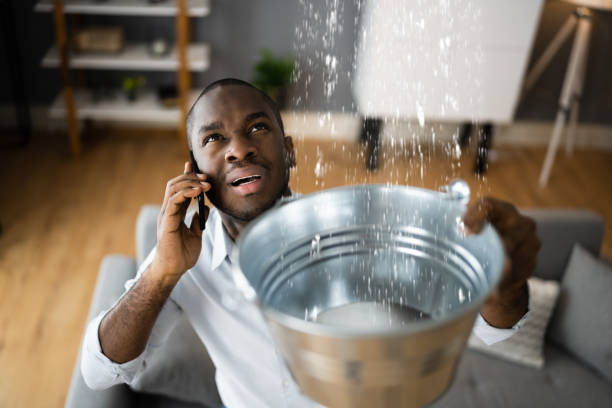 Best Flood damage cleanup  in Smithfield, NC