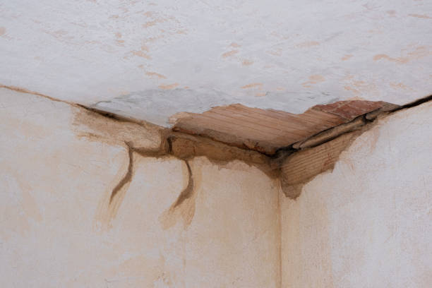 Best Water damage cleanup near me  in Smithfield, NC