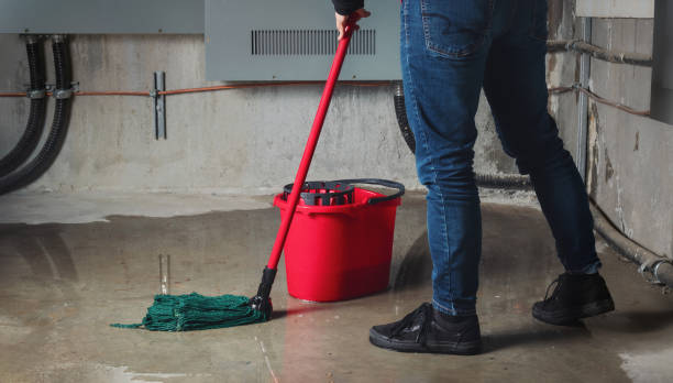 Best Mold removal after water damage  in Smithfield, NC