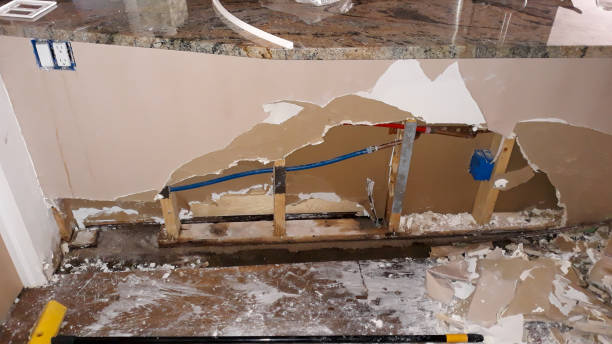 Best Local water damage restoration  in Smithfield, NC