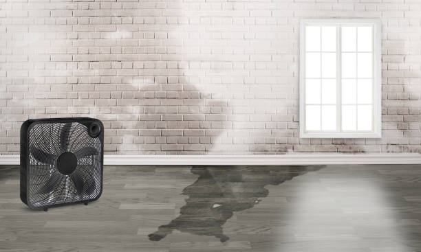  Smithfield, NC Water damage restoration Pros