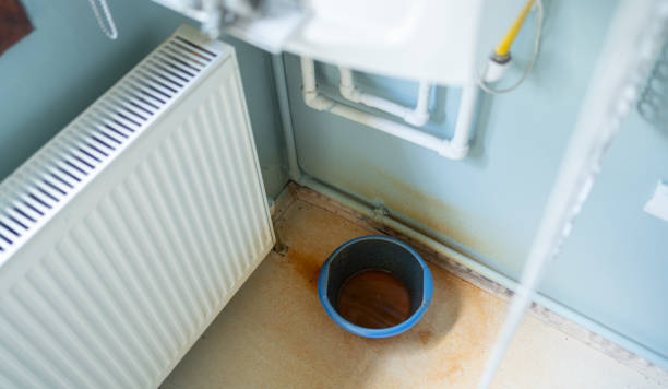 Best Carpet water damage restoration  in Smithfield, NC
