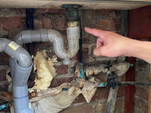 Best Ceiling water damage repair  in Smithfield, NC