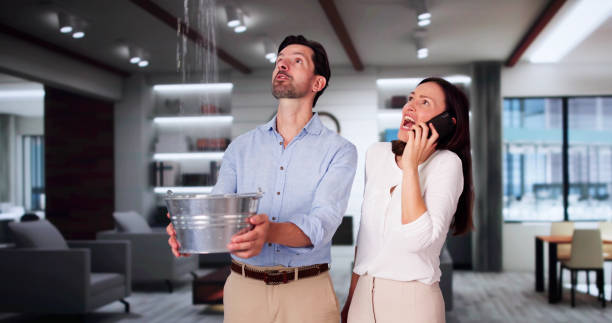 Best Fire Damage Restoration  in Smithfield, NC